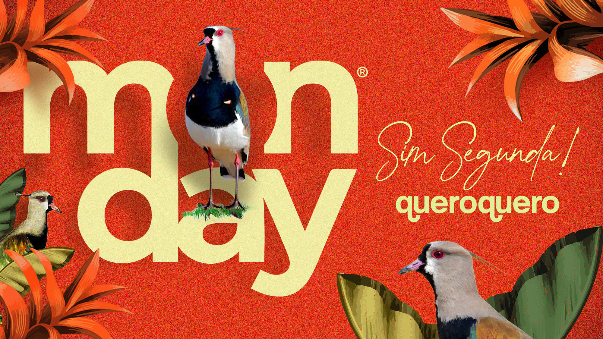 Monday | Quero After Quero Forró Queremos tudo!