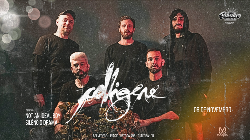 Colligere em Curitiba